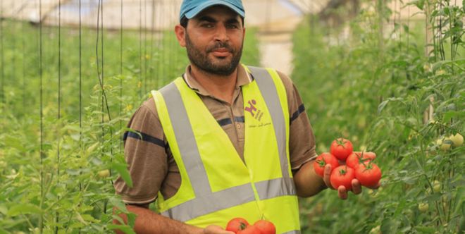 مشروع الصوبات الزراعية